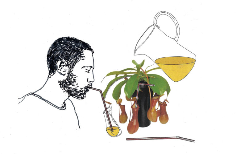 Eating Soup with a Carnivorous Plant